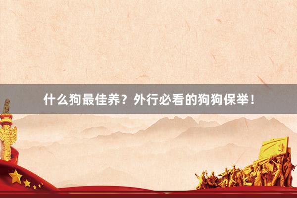 什么狗最佳养?外行必看的狗狗保举!